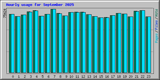 Hourly usage for September 2025