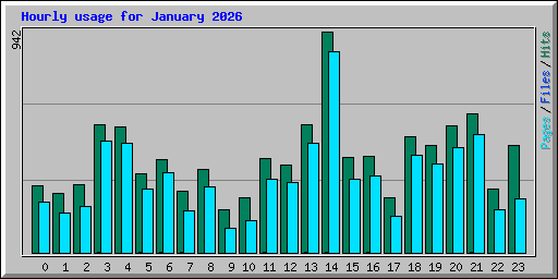 Hourly usage for January 2026